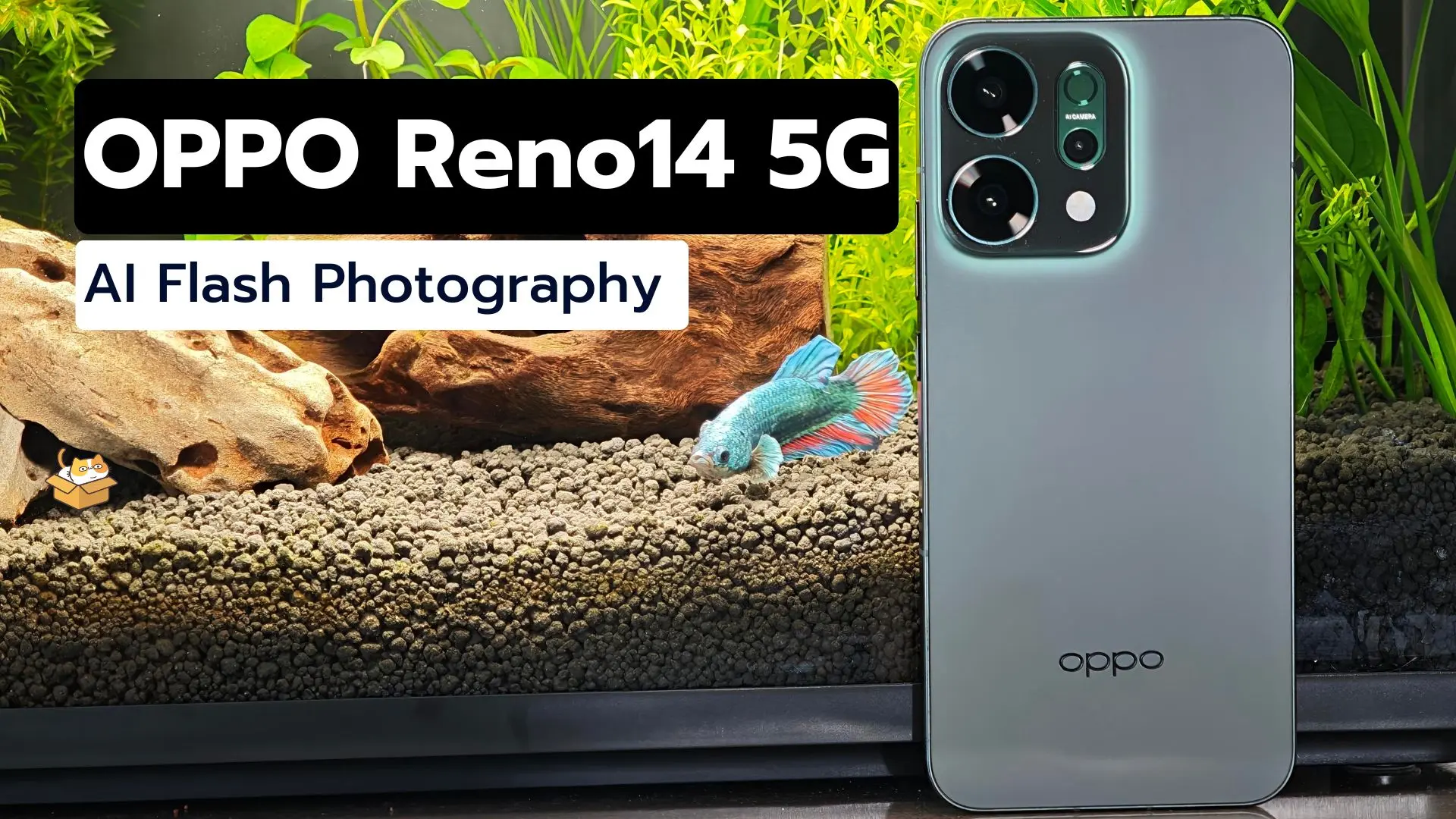 Oppo reno14 5g 3