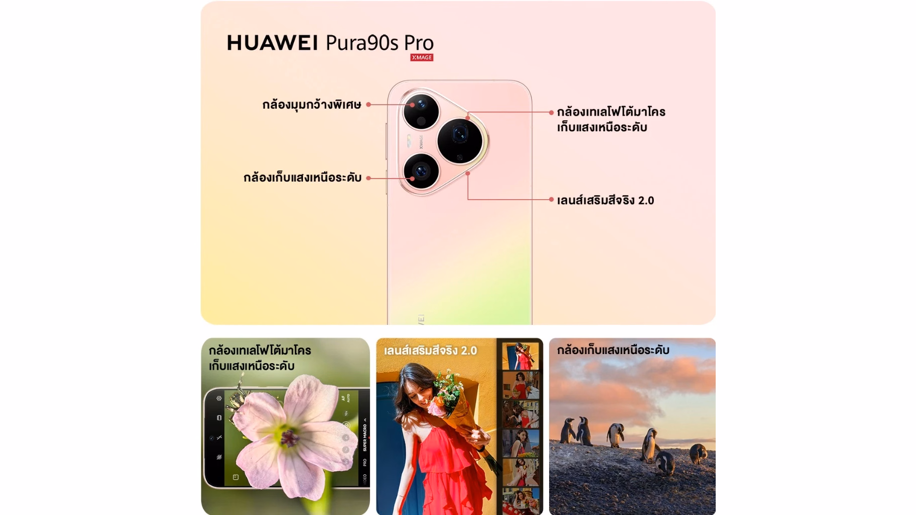 HUAWEI Pura 90s Pro ตัวเครื่องพื้นหลังสีชมพูพร้อมตัวอย่างภาพถ่ายมาโครดอกไม้