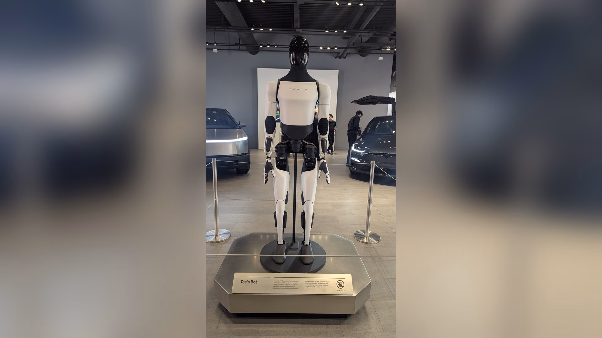 หุ่นยนต์ Tesla Optimus ตั้งโชว์ในโชว์รูม Tesla